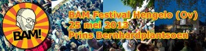 bam festival
